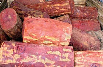 Police arrests TN youngsters for chopping red sanders