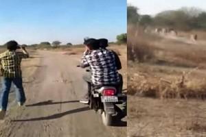 Three men caught on camera chasing pride of lions; Video goes viral