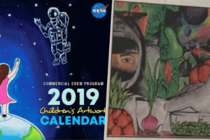 NASA's 2019 Calendar Will Feature Painting Of 12-Yr-Old Boy From Tamil Nadu