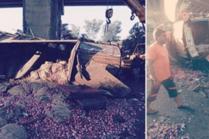 Truck Driver Suffers Severe Accident on Highway; People Loot Onions From Truck Instead of Helping Him