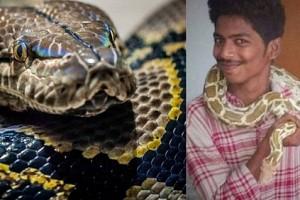 Two men arrested for trying to sell snakes on social media