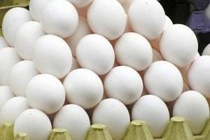 What? Thieves make away with 1.41 lakh eggs