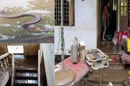 Snakes take over kerala flooded homes