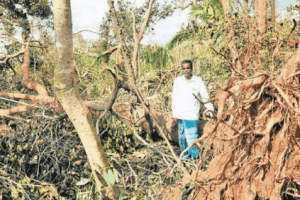 3,000 Trees Planted By Late Environmentalist 'Maram' Thangasamy Uprooted By Cyclone 'Gaja'