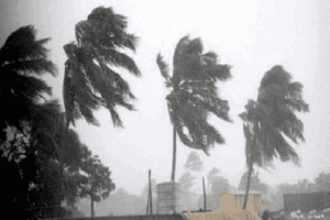 Cyclone Gaja Hammers Coastal Tamil Nadu; Schools & Colleges Shut In These Areas