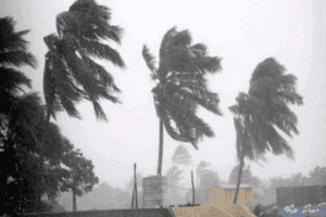 Cyclone Gaja Expected To Intensify; Tamil Nadu, Andhra Pradesh & Puducherry On Red Alert