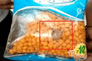 WATCH | Tamil Nadu Man Finds Live Snail Inside Packet Of Snacks