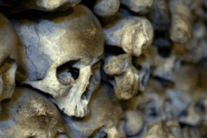 Tamil Nadu Villagers Terrified After 45 Human Skulls Found Dumped In Graveyard
