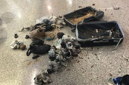 Cops blow up suspicious bag at airport; find cocunuts