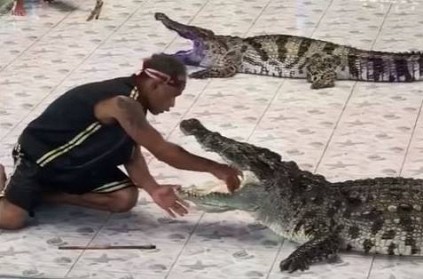 Watch - Man places hand inside croc's mouth, here is what happened next