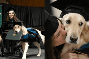 Service Dog Gets Honorary Diploma At Owner's Graduation Ceremony