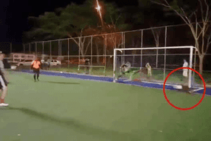 WATCH | Incredible Moment When A Dog Saved A Penalty During Football Match