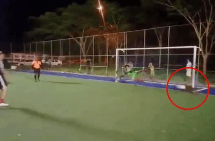 Spectators stunned as dog miraculously saves penalty during match