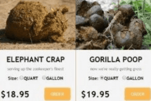 This Website Will Anonymously Send Elephant & Gorilla Poop To People You Don't Like