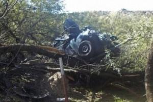 Car flies off road and rams into tree; Woman climbs out after 6 days