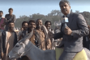 Journalist Rides Donkey While Reporting; Hilarious Video Goes Viral