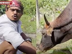 Pugazh’s interaction with a cow goes viral; What happened? Viral video!