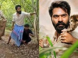 STR's Eeswaran's deadly look - Shooting with the snake - video goes viral! Watch!