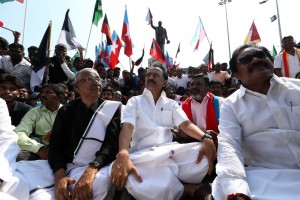 DMK's road roko - protest against Central Government on Cauvery Management Board Issue