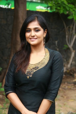 Sathya Success Meet